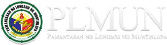 plmun admission portal